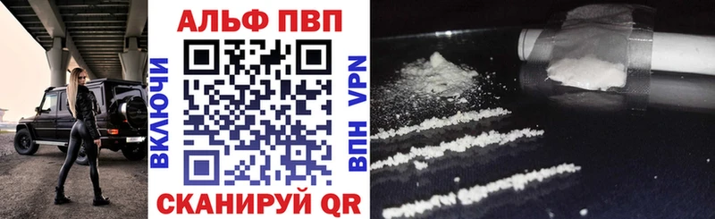 Альфа ПВП СК  Арзамас 