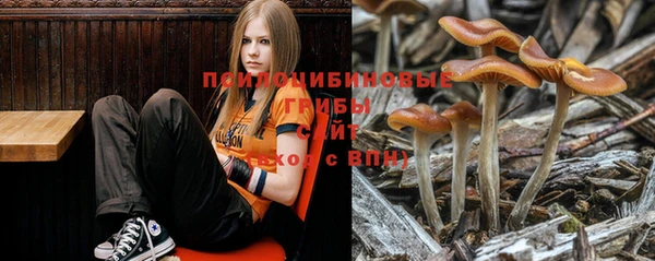 эйфоретик Кинешма