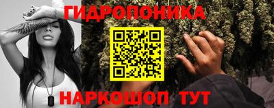 амф Новокубанск