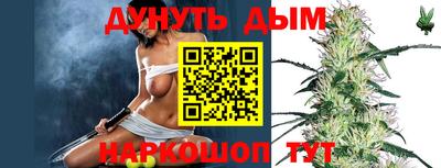 наркотики Новодвинск